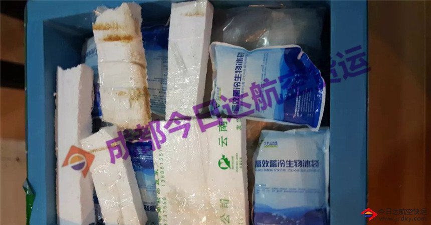 冷凍貨物空運