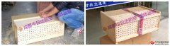 鳥兒航空運輸